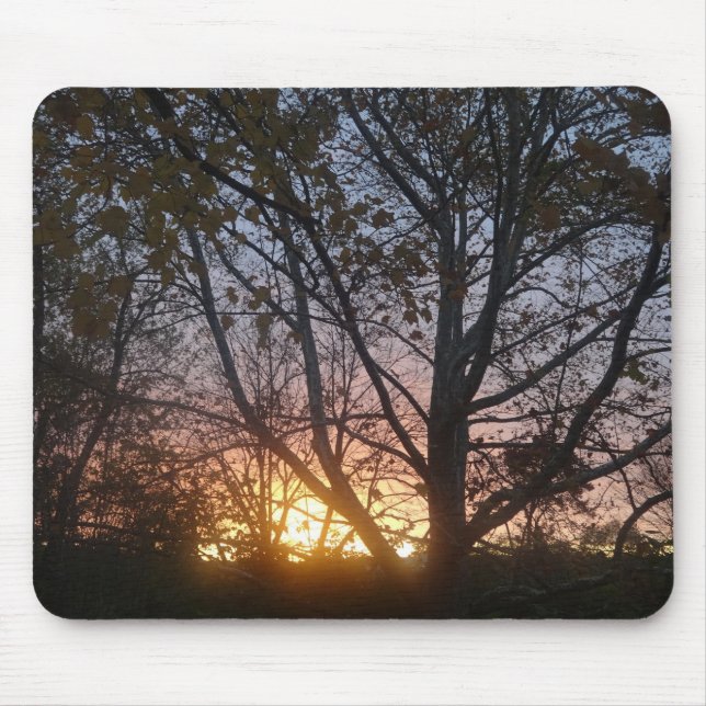 Alfombrilla De Ratón Sycamore Sunrise (Frente)