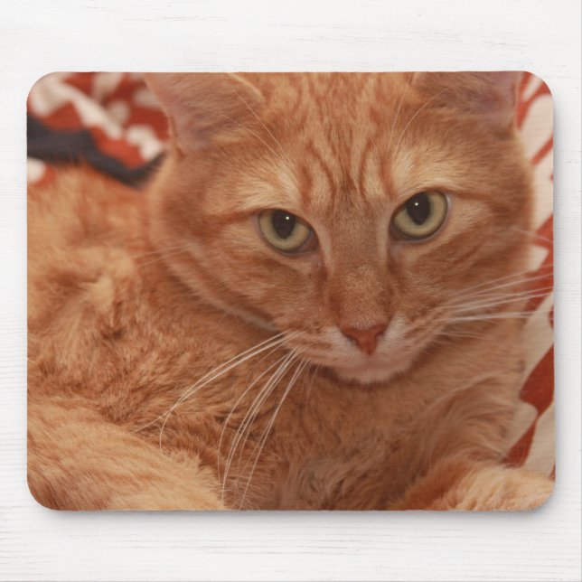 Alfombrilla De Ratón Tabby anaranjado (Frente)