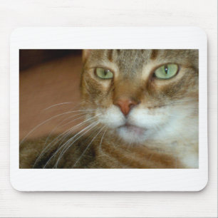 Alfombrilla De Ratón Tabby Cat Love