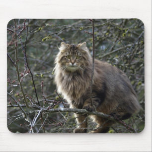 Alfombrilla De Ratón Tabby Cat Mousepad de pelo largo