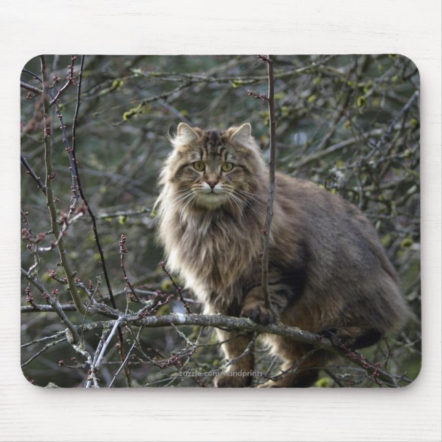 Alfombrilla De Ratón Tabby Cat Mousepad de pelo largo (Frente)