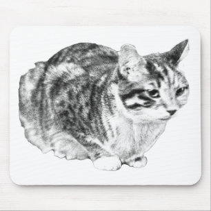 Alfombrilla De Ratón Tabby centrado, tonos de escritorio de terciopelo