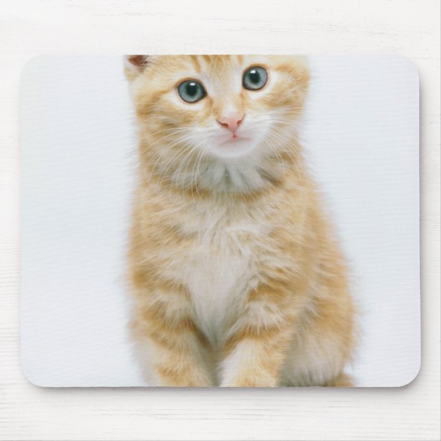 Alfombrilla De Ratón Tabby del naranja dulce (Frente)