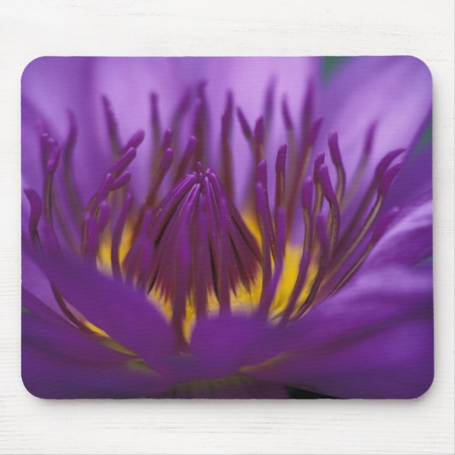 Alfombrilla De Ratón Tailandia, Bangkok, loto morado y amarillo 2 (Frente)