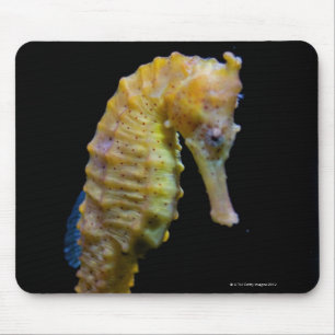 Alfombrilla De Ratón taillong shapeprehensile del swimmerequine