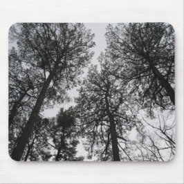 Alfombrilla De Ratón Tall Trees
