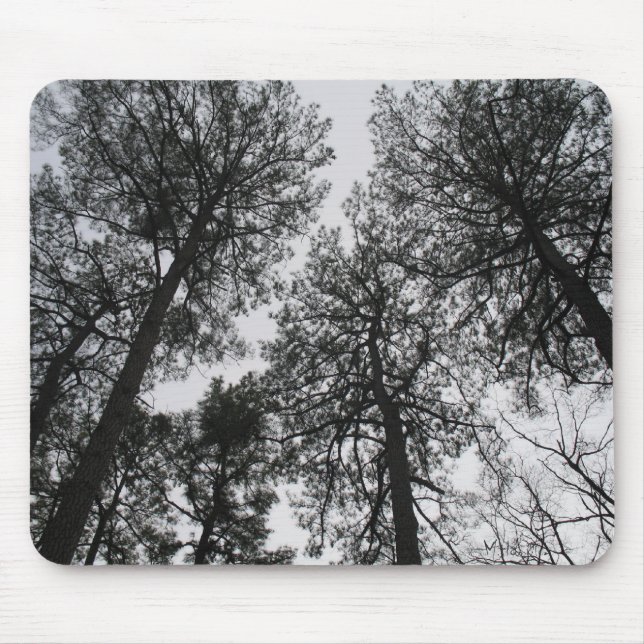 Alfombrilla De Ratón Tall Trees (Frente)