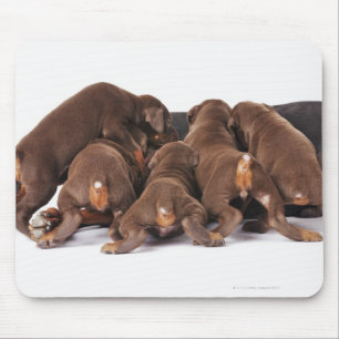 Alfombrilla De Ratón También Doberman Pincher. Perro nacional mediano