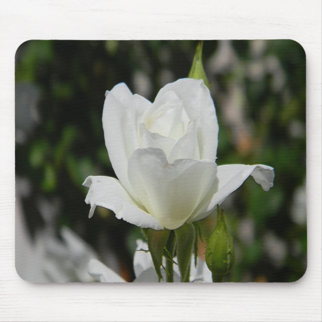 Alfombrilla De Ratón Tan puro...... (Frente)