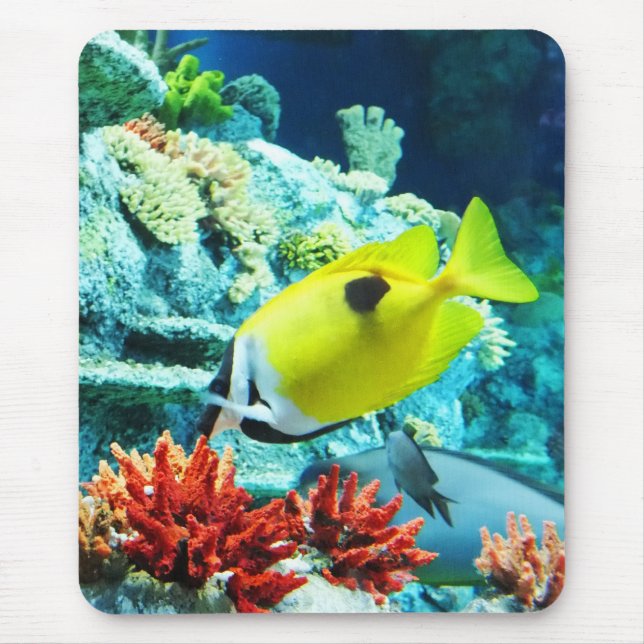 Alfombrilla De Ratón Tang (Frente)