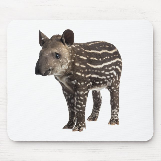 Alfombrilla De Ratón Tapir (Frente)