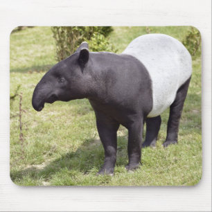 Alfombrilla De Ratón Tapir malayo en hierba