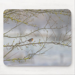 Alfombrilla De Ratón Tapis de souris rouge-gorge