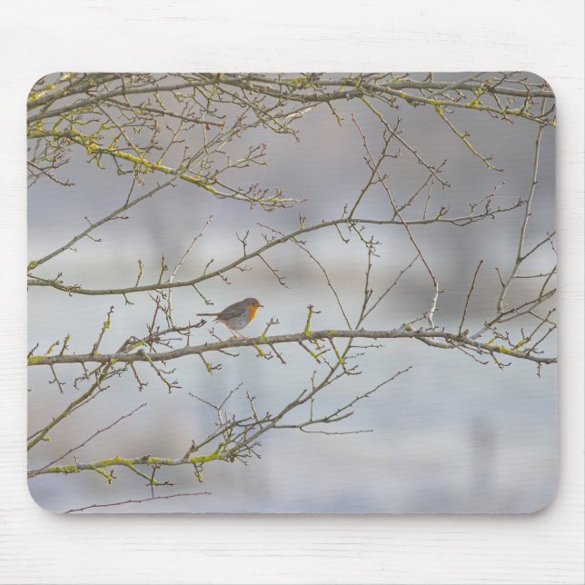 Alfombrilla De Ratón Tapis de souris rouge-gorge (Frente)