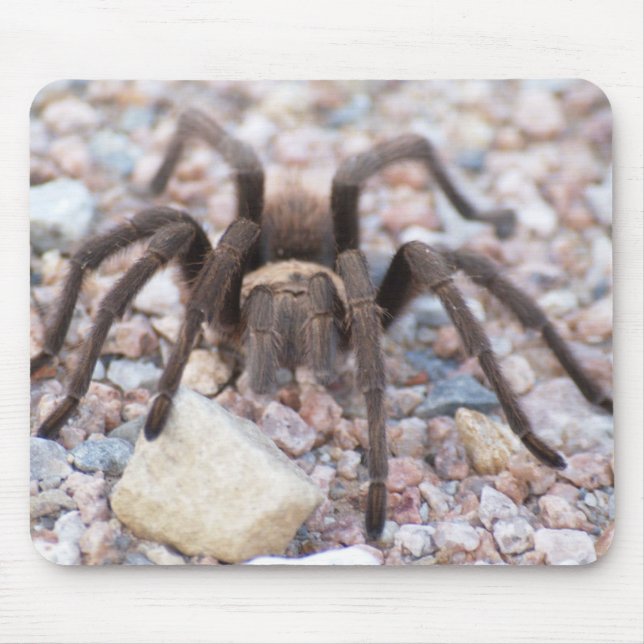 Alfombrilla De Ratón Tarantula (Frente)