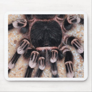Alfombrilla De Ratón Tarantula blanco brasileño de la rodilla