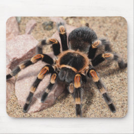 Alfombrilla De Ratón Tarantula Spider