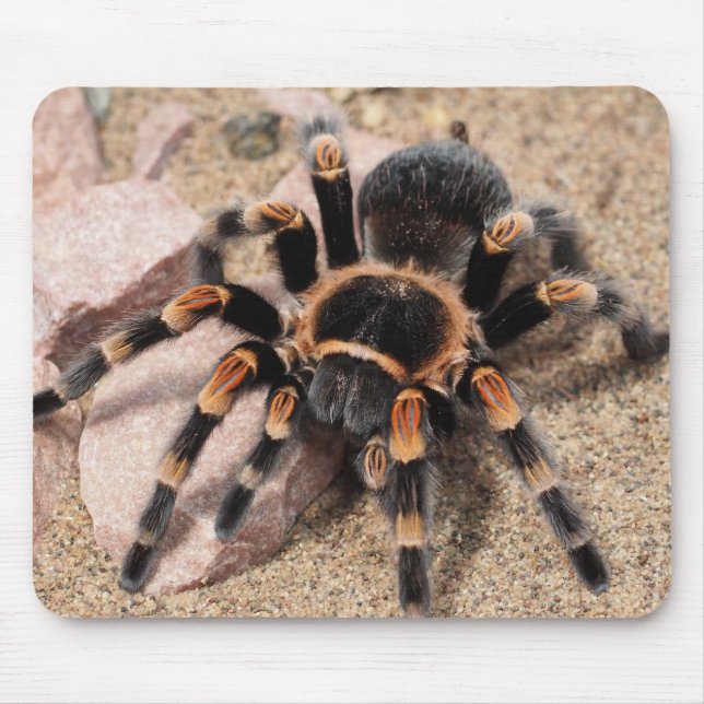 Alfombrilla De Ratón Tarantula Spider (Frente)