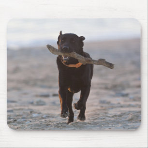 Alfombrilla De Ratón Tarifa, Cádiz, España
