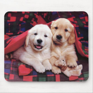 Alfombrilla De Ratón Tarjetas de fotografía de perro, regalos - Persona