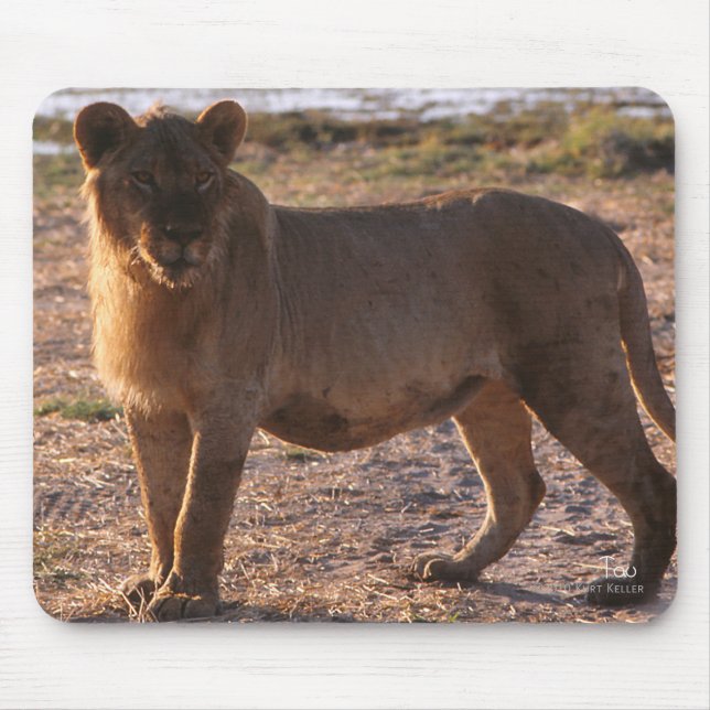 Alfombrilla De Ratón Tau, León, Foto (Frente)