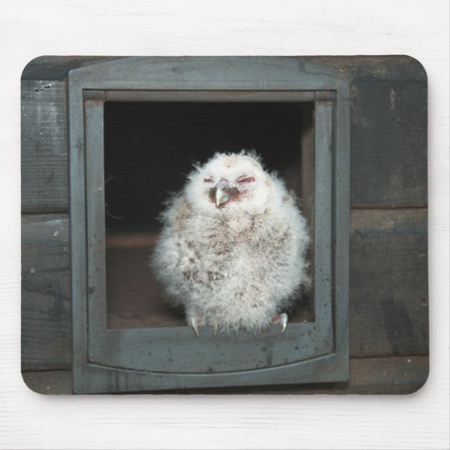 Alfombrilla De Ratón Tawny Owl (Frente)