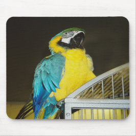 Alfombrilla De Ratón Taz...