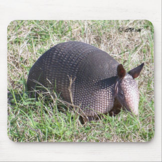 Alfombrilla De Ratón ©TDH del armadillo del bebé