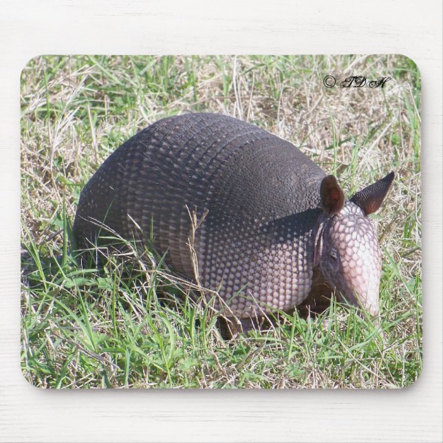 Alfombrilla De Ratón ©TDH del armadillo del bebé (Frente)