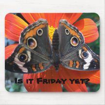 teclado del ratón del humor del viernes