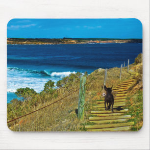 Alfombrilla De Ratón Teddy, Mousepad