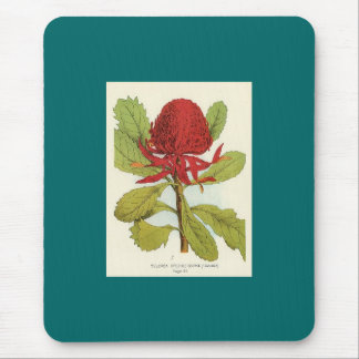 Alfombrilla De Ratón Telopea Speciosissimae Waratah