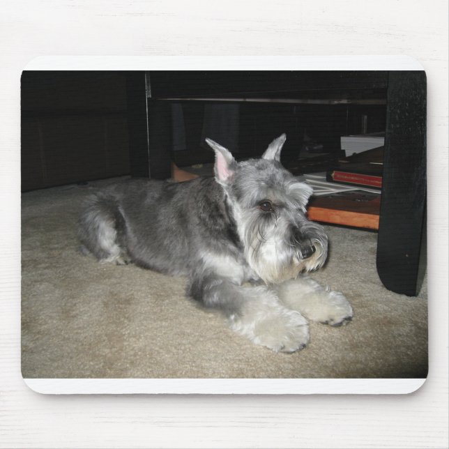 Alfombrilla De Ratón Tensión Mini-Schnauzer (Frente)