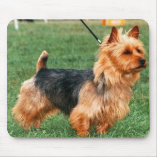 Alfombrilla De Ratón Terrier australiano Mousepad