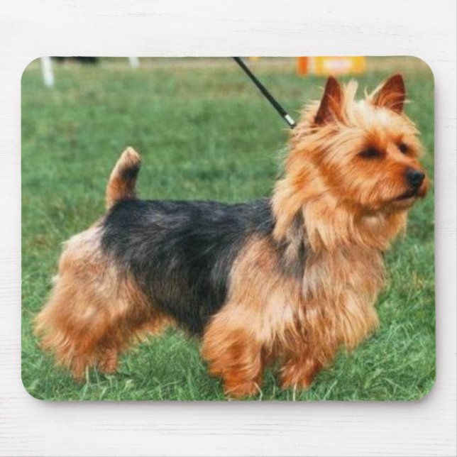 Alfombrilla De Ratón Terrier australiano Mousepad (Frente)
