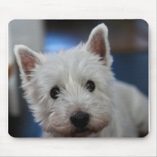 Alfombrilla De Ratón Terrier blanco y occidental extremadamente lindo