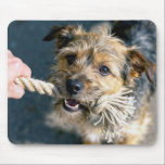 Alfombrilla De Ratón Terrier Dog Playing Tug of War<br><div class="desc">A cute dog vigorously engaging in a game of tug-of-war with a frayed rope</div>