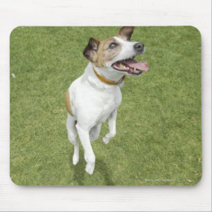 Alfombrilla De Ratón Terrier que salta, visión elevada de Jack Russell