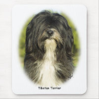 Terrier tibetano