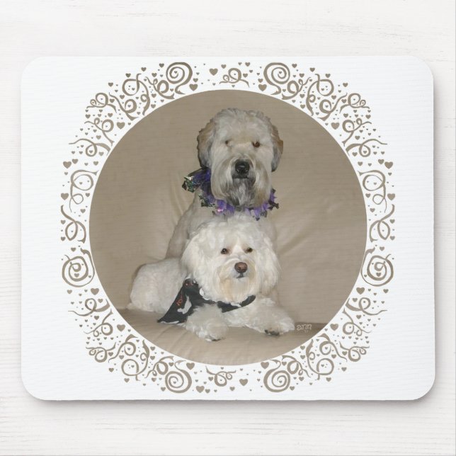 Alfombrilla De Ratón Terrier Wheaten y Havanese (Frente)