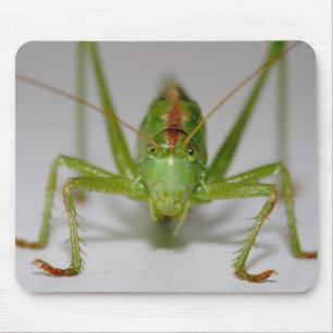 Alfombrilla De Ratón Tettigonia viridissima