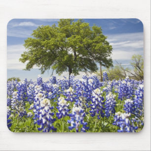 Alfombrilla De Ratón Texas bluebonnets(lupinus texensis) y roble