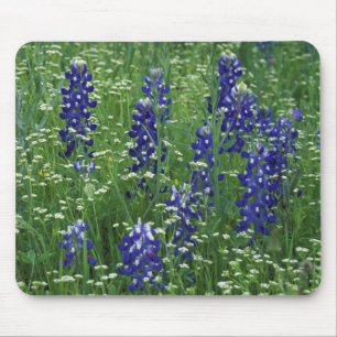 Alfombrilla De Ratón Texas, Lago Buchanan. Texas Bluebonnet y silvestre
