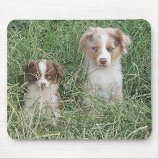 Alfombrilla De Ratón The Cuteness Never Stops