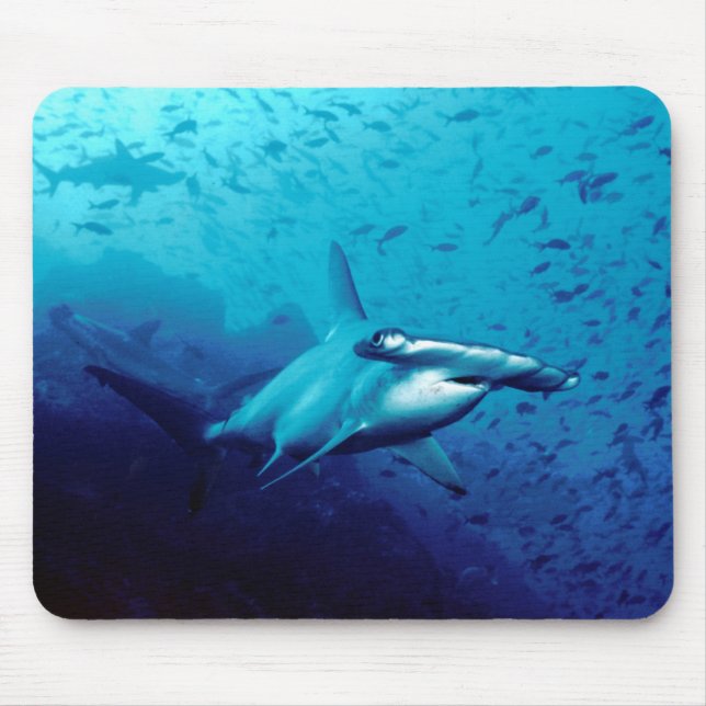 Alfombrilla De Ratón Tiburón de Hammerhead (Frente)