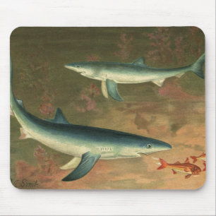 Alfombrilla De Ratón Tiburones Azules Comiendo Peces, Vida Marina Vinta
