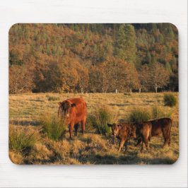 Alfombrilla De Ratón Tiempo de familia.........