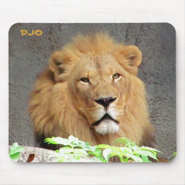 Alfombrilla De Ratón Tienes Que Ser León (Frente)