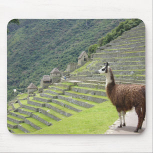 Alfombrilla De Ratón tierras de llama