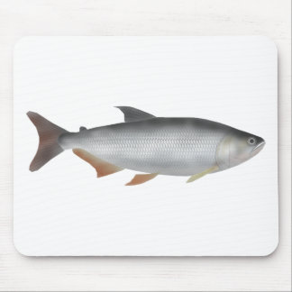 Alfombrilla De Ratón Tiete tetra
